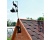 ykazatel vetra duck and dog mali aist smolensk 2